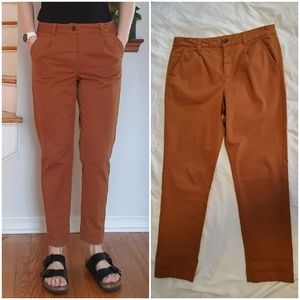 Anthropologie NWT Cropped Pleated Pants 29
